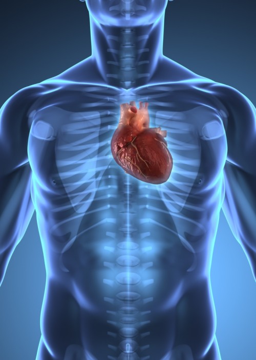 cardiovascular-health-men-s-health-resource-center